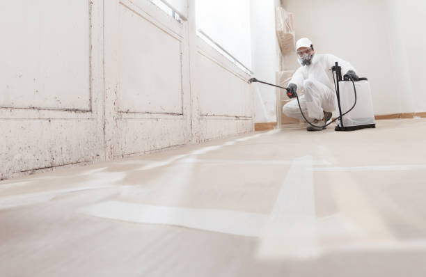 24/7 Emergency Mold Remediation experts in Harrellsville, NC